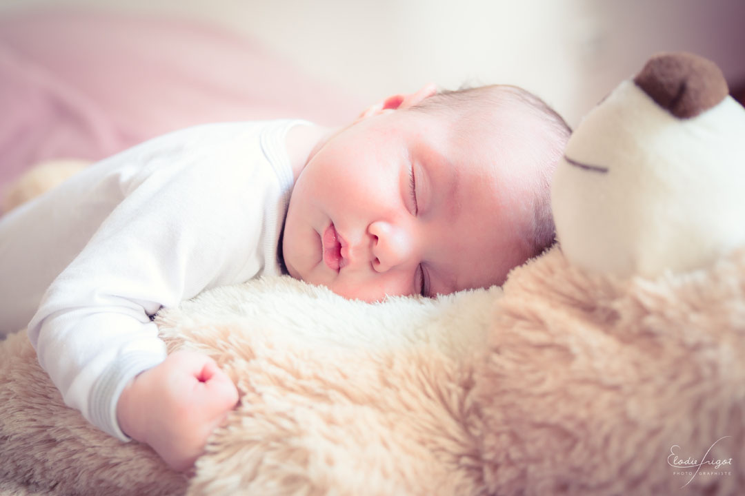 Photo Naissance bébé sur nounours à domicile Elodie Frigot Photographe