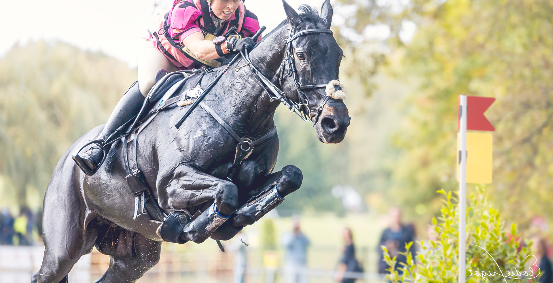 photo compétition équestre CCI 4 étoiles à Pau saut d'obstacle